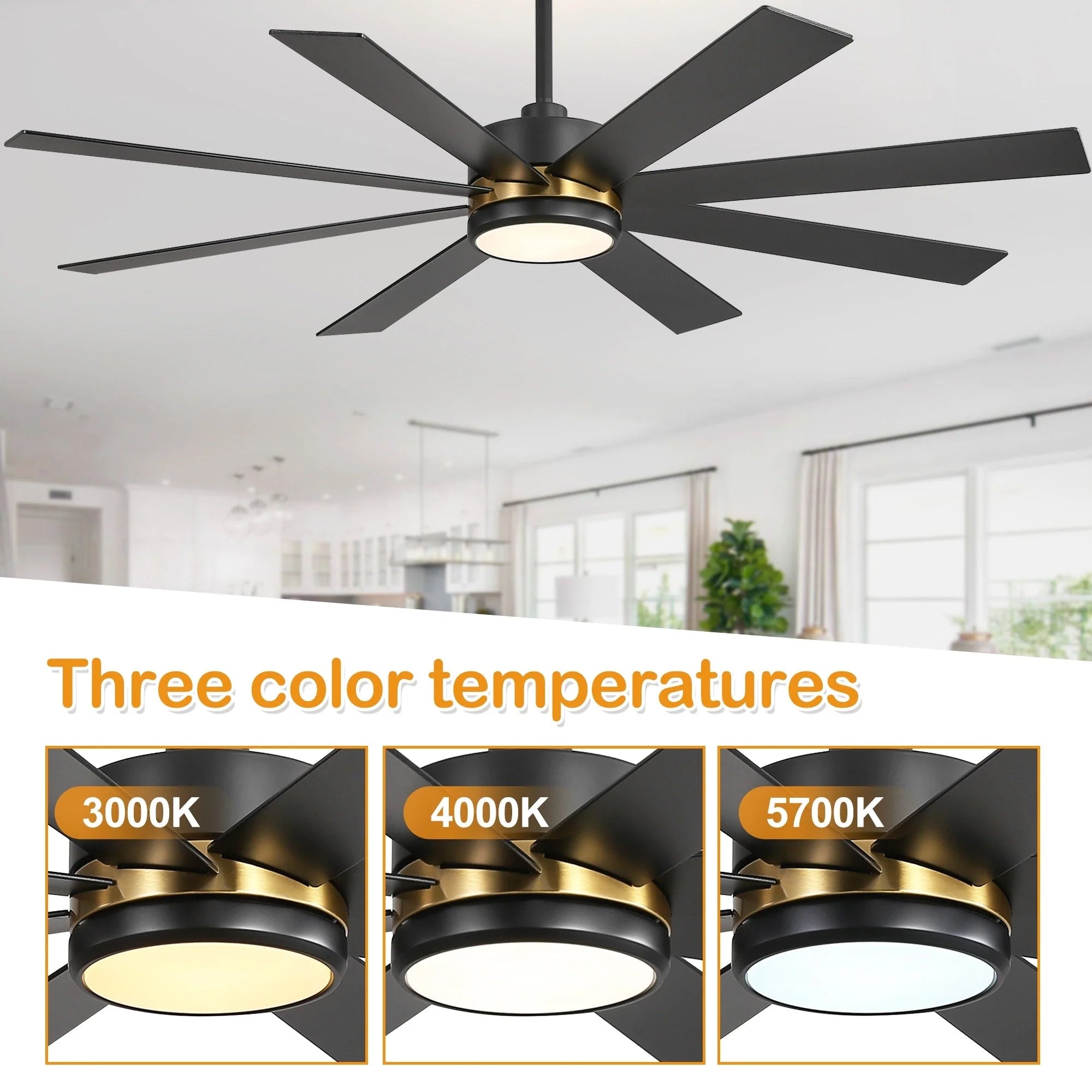 65-Zoll-LED-Deckenventilator mit 8 Flügeln, Licht und Fernbedienung, Schwarz
