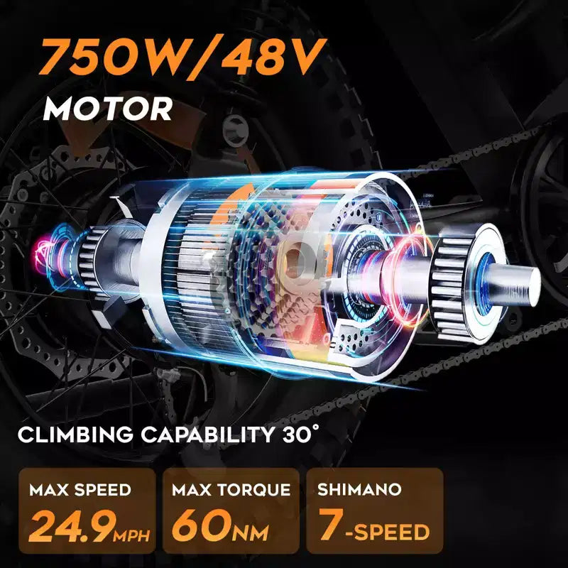 Eilleo 20 Fat Tire E-Bike, 750W Motor (920W Spitze), 40 km/h, 80-110 km Reichweite, 48V 15.6Ah Akku, Dual-Federung, Shimano 7-Gang