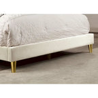 Upholstered Platform Bed – Beige, Tufted Headboard, Gold-Tone Accents, Glam Style, Full / Queen / King
